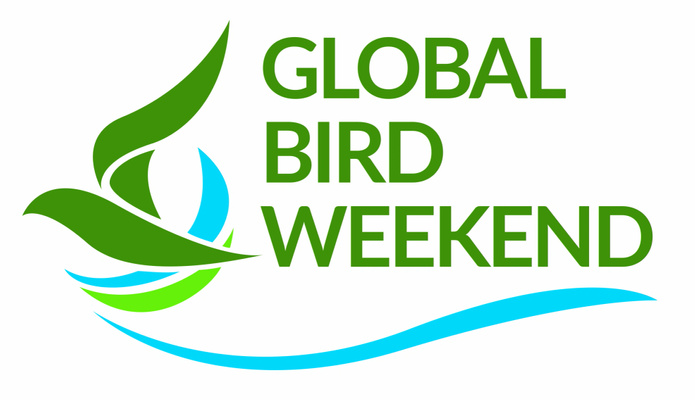 global bird weekend